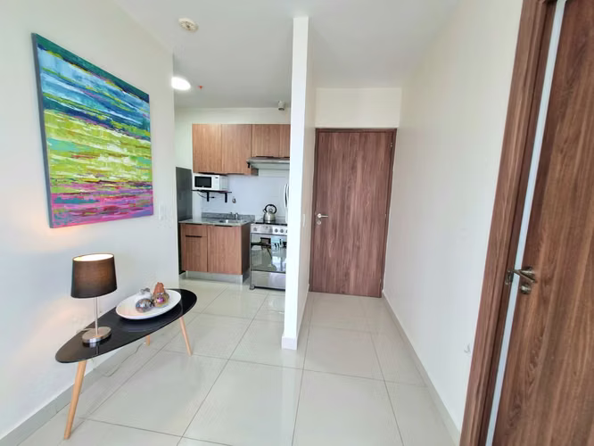 1 HAB AMOBLADO · PISO ALTO · PH DOWNTOWN 55 - Imagen 9