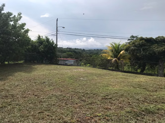 SALE OF LAND IN SAN CARLOS