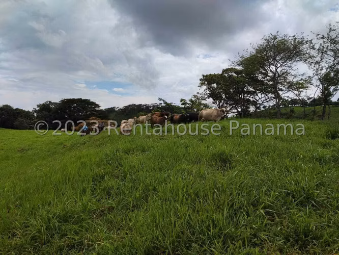 VENTA DE TERRENO EN LIDICE DDB26-5772 - Imagen 14