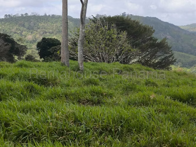 VENTA DE TERRENO EN LIDICE DDB26-5772 - Imagen 12