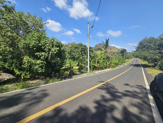 Se Vende Finca de 4 hectáreas en Capira, Cermeño (DR) - Imagen 6