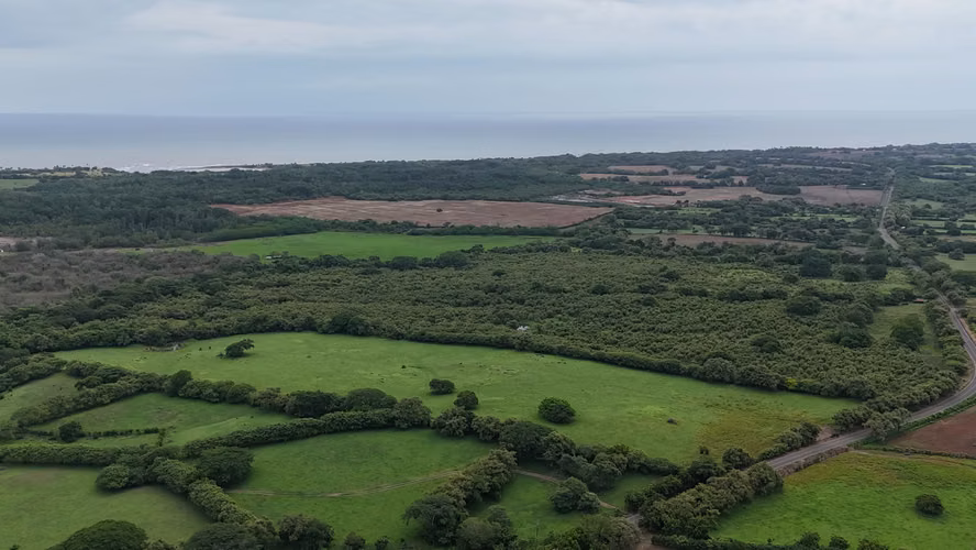 Se Vende Finca de 9.8 Has en Las Tablas Via Playa El Uverito