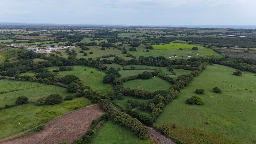 Se Vende Finca de 9.8 Has en Las Tablas Via Playa El Uverito