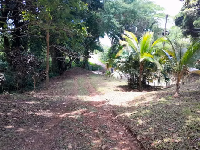 3+ HA Terreno en Lidice con Agua, Frutas, Bambu, Calle de Asfalto - Imagen 6