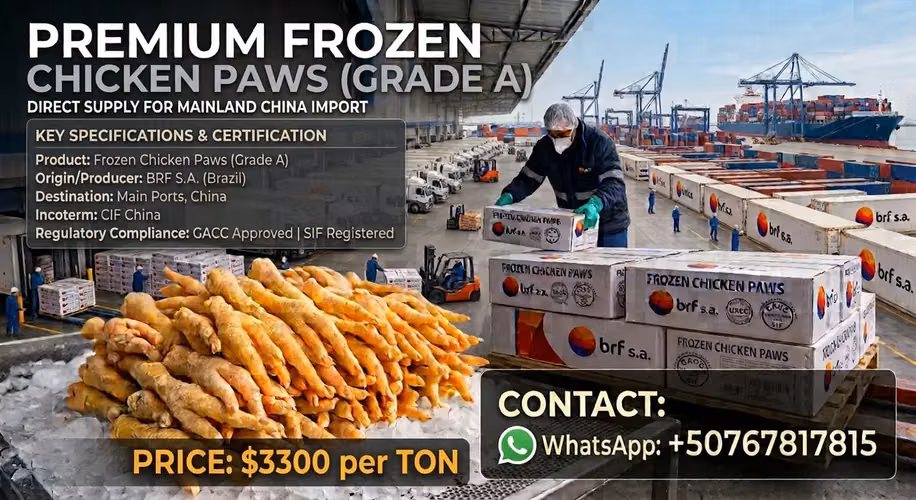 Se vende Chicken paws(patas de pollo) CIF china 