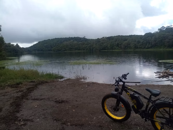 Vendo dos bicicletas motorizadas llantas gruesas, casi nuevas.  - Imagen 5