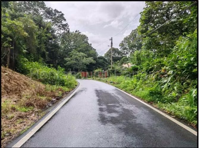 Venta de terreno de 561.44m2 en Las cumbres CF26-3680 - Imagen 12