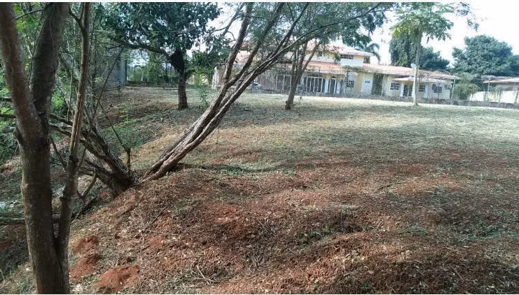 VENDO GRANDIOSO LOTE DE TERRENO EN PLENO CORAZON DE CHITRE - Imagen 2