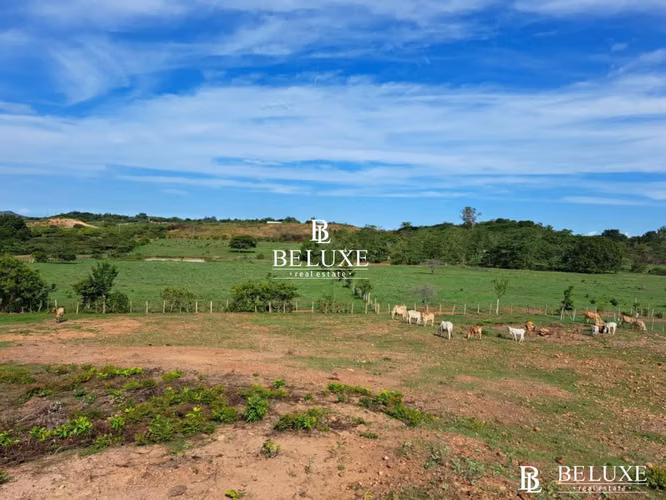 VENTA DE TERRENO EN AGUADULCE, COCLÉ (6) - Imagen 11