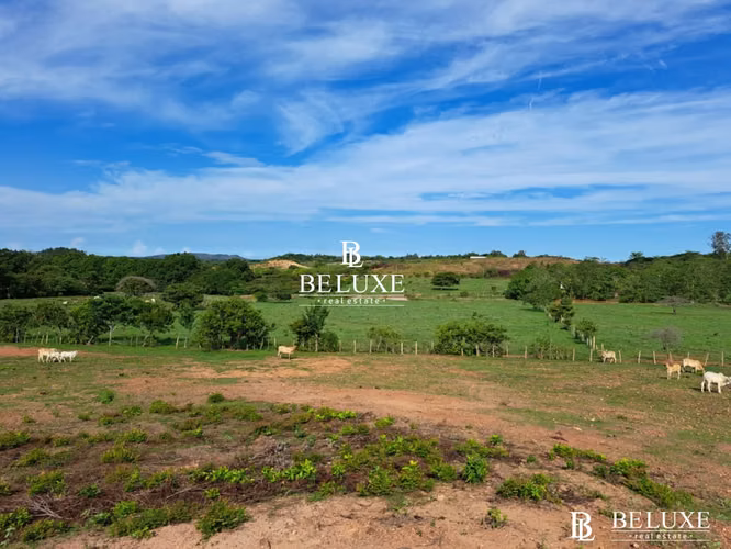 VENTA DE TERRENO EN AGUADULCE, COCLÉ (6) - Imagen 8