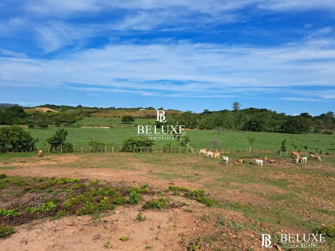 VENTA DE TERRENO EN AGUADULCE, COCLÉ (6) - Imagen 14