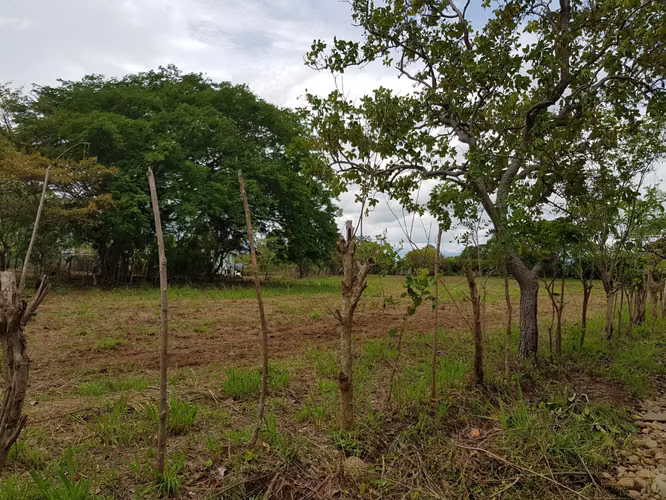 LOTES en RIO GRANDE PENONOMÉ. SIN ABONO INICIAL cuotas $125 QUINCENALES - Imagen 11