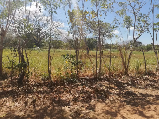 LOTES en RIO GRANDE PENONOMÉ. SIN ABONO INICIAL cuotas $125 QUINCENALES - Imagen 9