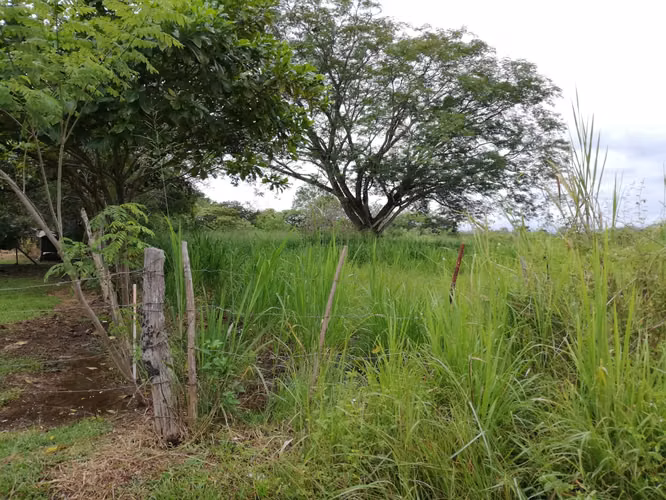 LOTES en RIO GRANDE PENONOMÉ. SIN ABONO INICIAL cuotas $125 QUINCENALES - Imagen 15