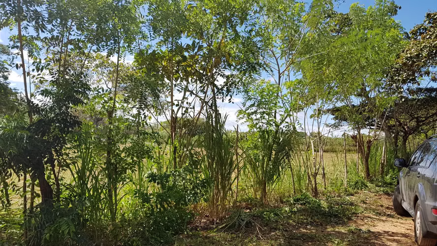 LOTES en RIO GRANDE PENONOMÉ. SIN ABONO INICIAL cuotas $125 QUINCENALES - Imagen 6