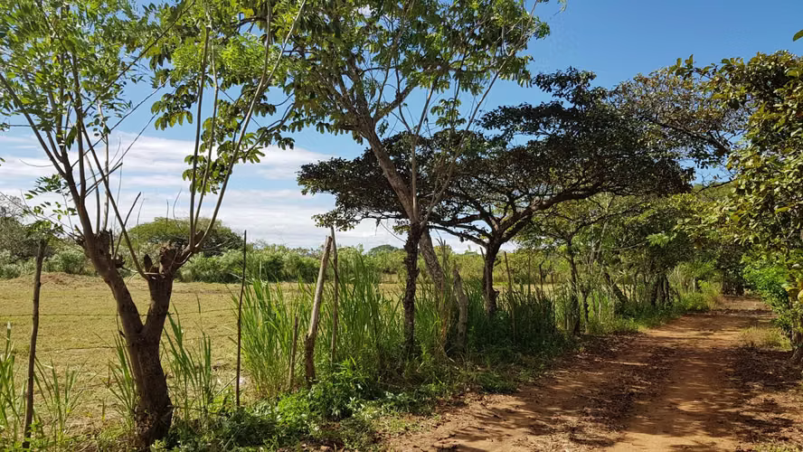 LOTES en RIO GRANDE PENONOMÉ. SIN ABONO INICIAL cuotas $125 QUINCENALES - Imagen 7