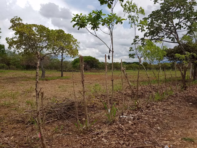 LOTES en RIO GRANDE PENONOMÉ. SIN ABONO INICIAL cuotas $125 QUINCENALES - Imagen 10