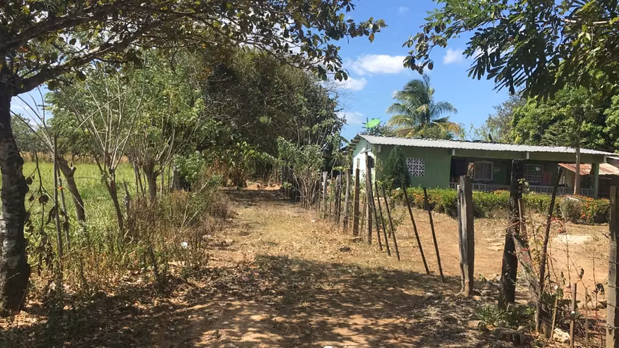 LOTES en RIO GRANDE PENONOMÉ. SIN ABONO INICIAL cuotas $125 QUINCENALES - Imagen 4