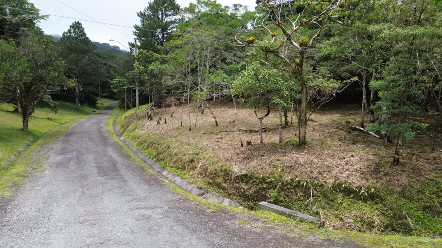 Lote Esquinero en Altos del María | 1,370.8 m² con Privacidad y Clima de Montaña - Imagen 17