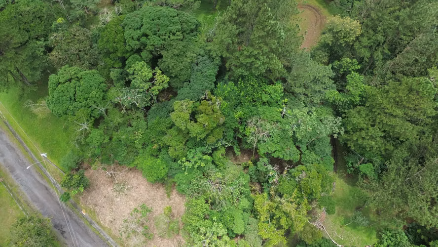 Lote Esquinero en Altos del María | 1,370.8 m² con Privacidad y Clima de Montaña - Imagen 15
