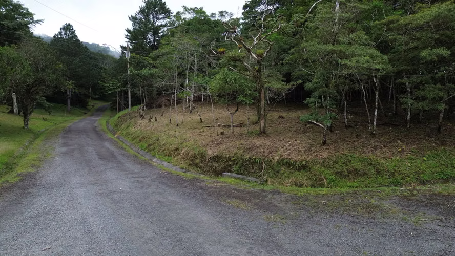 Lote Esquinero en Altos del María | 1,370.8 m² con Privacidad y Clima de Montaña - Imagen 13