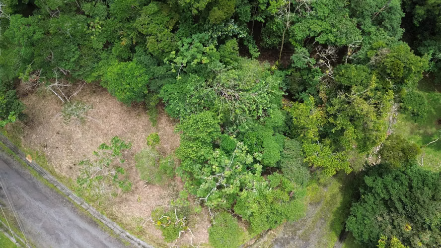Lote Esquinero en Altos del María | 1,370.8 m² con Privacidad y Clima de Montaña - Imagen 18