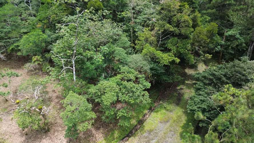 Lote Esquinero en Altos del María | 1,370.8 m² con Privacidad y Clima de Montaña - Imagen 11