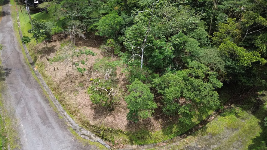 Lote Esquinero en Altos del María | 1,370.8 m² con Privacidad y Clima de Montaña - Imagen 6
