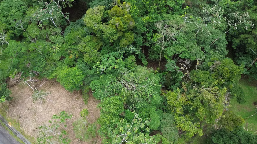 Lote Esquinero en Altos del María | 1,370.8 m² con Privacidad y Clima de Montaña - Imagen 20