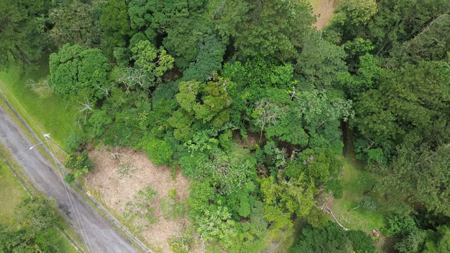 Lote Esquinero en Altos del María | 1,370.8 m² con Privacidad y Clima de Montaña - Imagen 16
