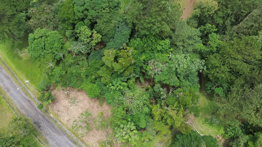 Lote Esquinero en Altos del María | 1,370.8 m² con Privacidad y Clima de Montaña - Imagen 19