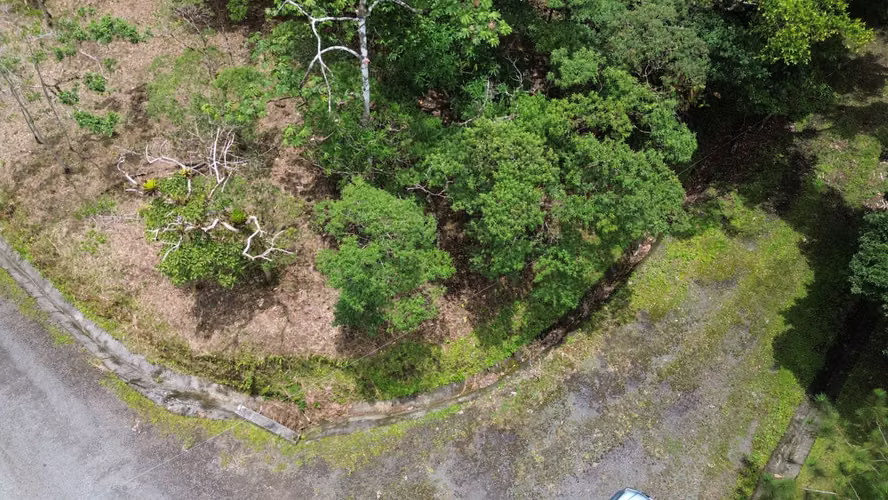 Lote Esquinero en Altos del María | 1,370.8 m² con Privacidad y Clima de Montaña - Imagen 5