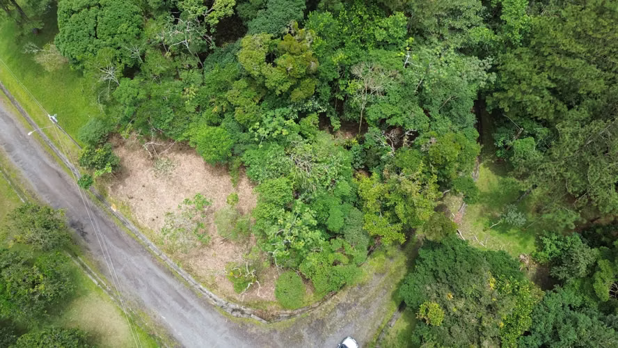 Lote Esquinero en Altos del María | 1,370.8 m² con Privacidad y Clima de Montaña - Imagen 9