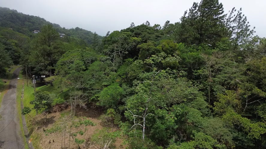 Lote Esquinero en Altos del María | 1,370.8 m² con Privacidad y Clima de Montaña - Imagen 7