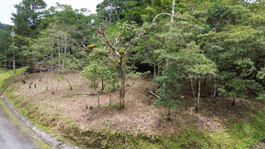 Lote Esquinero en Altos del María | 1,370.8 m² con Privacidad y Clima de Montaña - Imagen 8