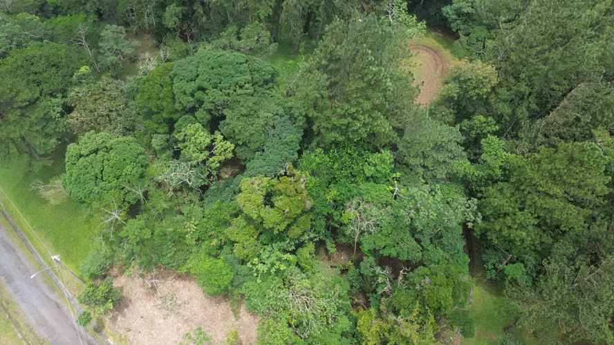 Lote Esquinero en Altos del María | 1,370.8 m² con Privacidad y Clima de Montaña - Imagen 14