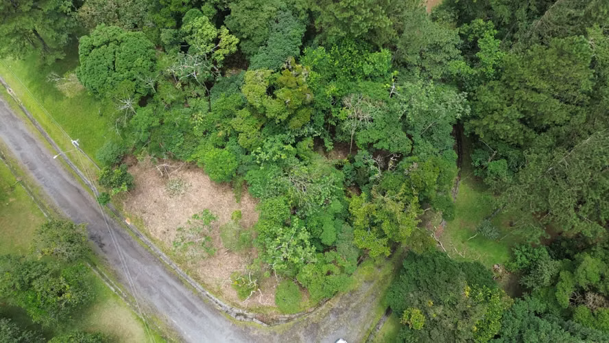 Lote Esquinero en Altos del María | 1,370.8 m² con Privacidad y Clima de Montaña - Imagen 3
