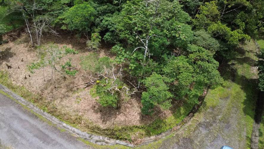 Lote Esquinero en Altos del María | 1,370.8 m² con Privacidad y Clima de Montaña - Imagen 12
