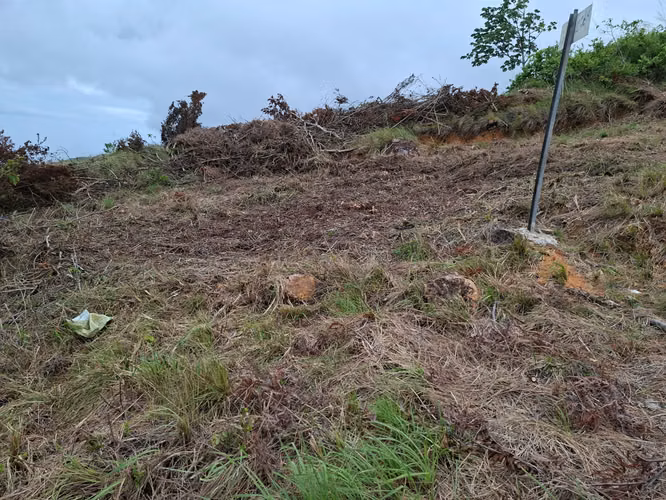 Terreno Titulado 500 m² en Chicá, Chame, Panamá Oeste $35,000 BP - Imagen 3
