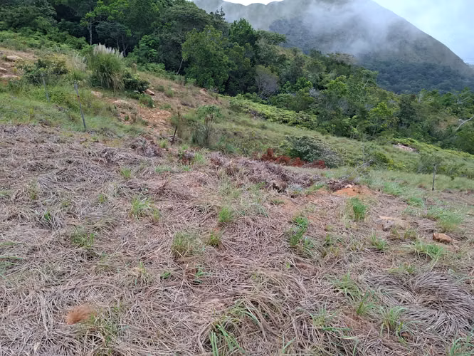 Terreno Titulado 500 m² en Chicá, Chame, Panamá Oeste $35,000 BP - Imagen 7