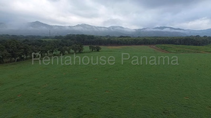 Venta de Terreno en Ruta Las Margaritas NS - Imagen 9