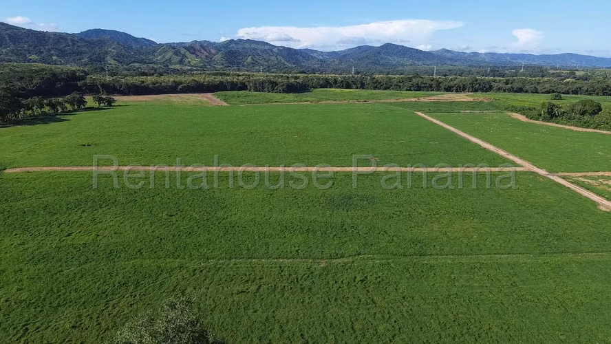 Venta de Terreno en Ruta Las Margaritas NS - Imagen 15