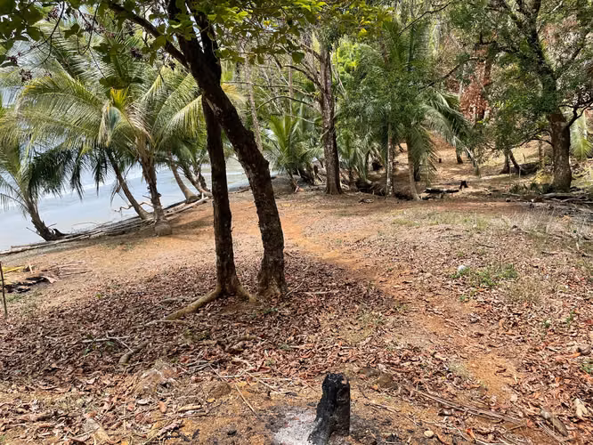 Next to Santa Catalina: Titled Private Bay with 350m Beachfront – The Hidden Gem Already Hyped by Scuba Diving Magazine