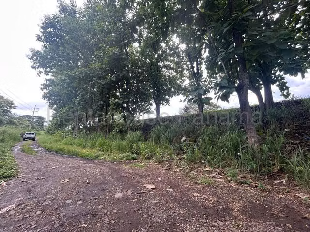 VENTA DE TERRENO EN LAS LAJAS  - Imagen 9
