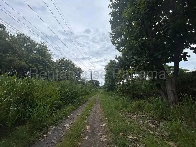 VENTA DE TERRENO EN LAS LAJAS  - Imagen 13