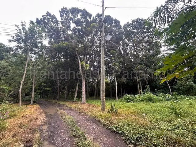 VENTA DE TERRENO EN LAS LAJAS  - Imagen 4