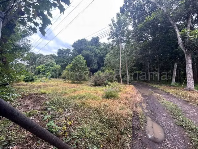 VENTA DE TERRENO EN LAS LAJAS  - Imagen 14