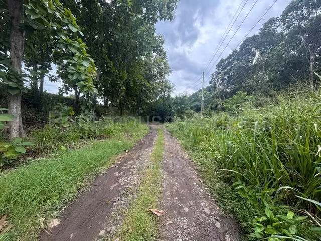 VENTA DE TERRENO EN LAS LAJAS  - Imagen 8