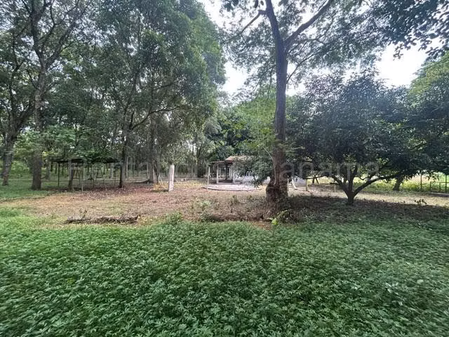 VENTA DE TERRENO EN LAS LAJAS  - Imagen 11