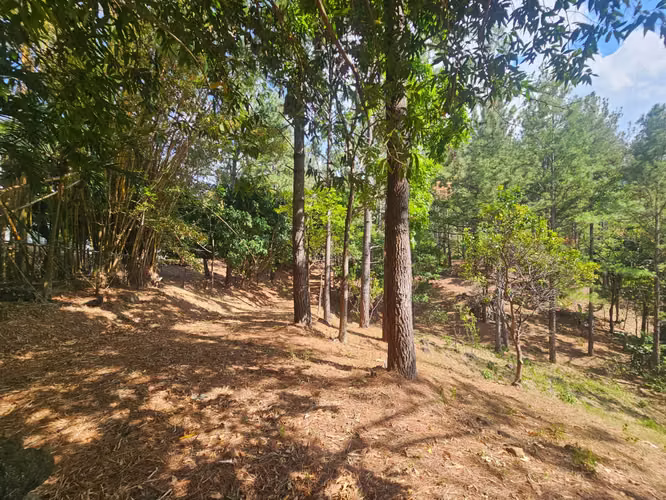 Terreno en Venta en Altos del María 129,000 - Imagen 13